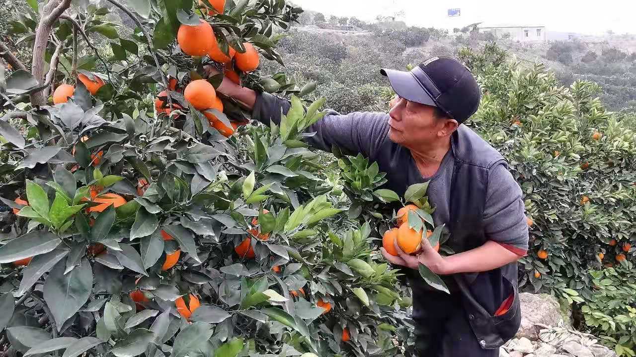 AG尊龙(中国)人生就是博官网